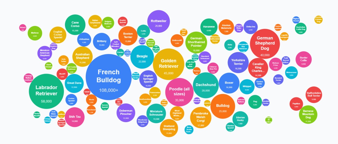  Most Popular Dog Breeds in the US