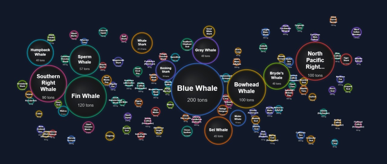 Biggest Sea Creatures