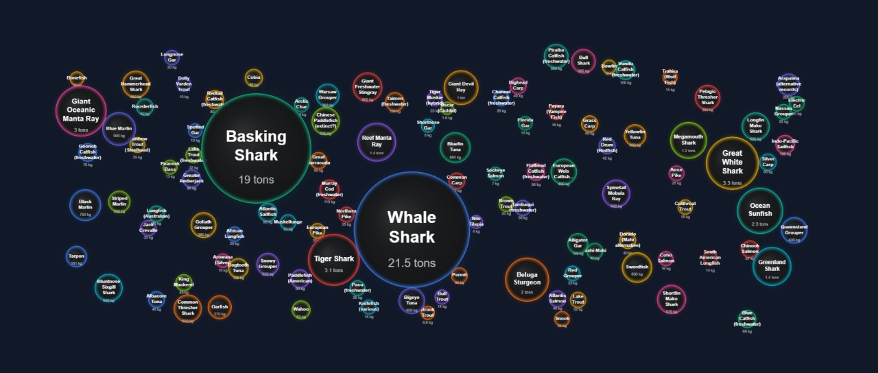 Biggest Fish in the World by Weight